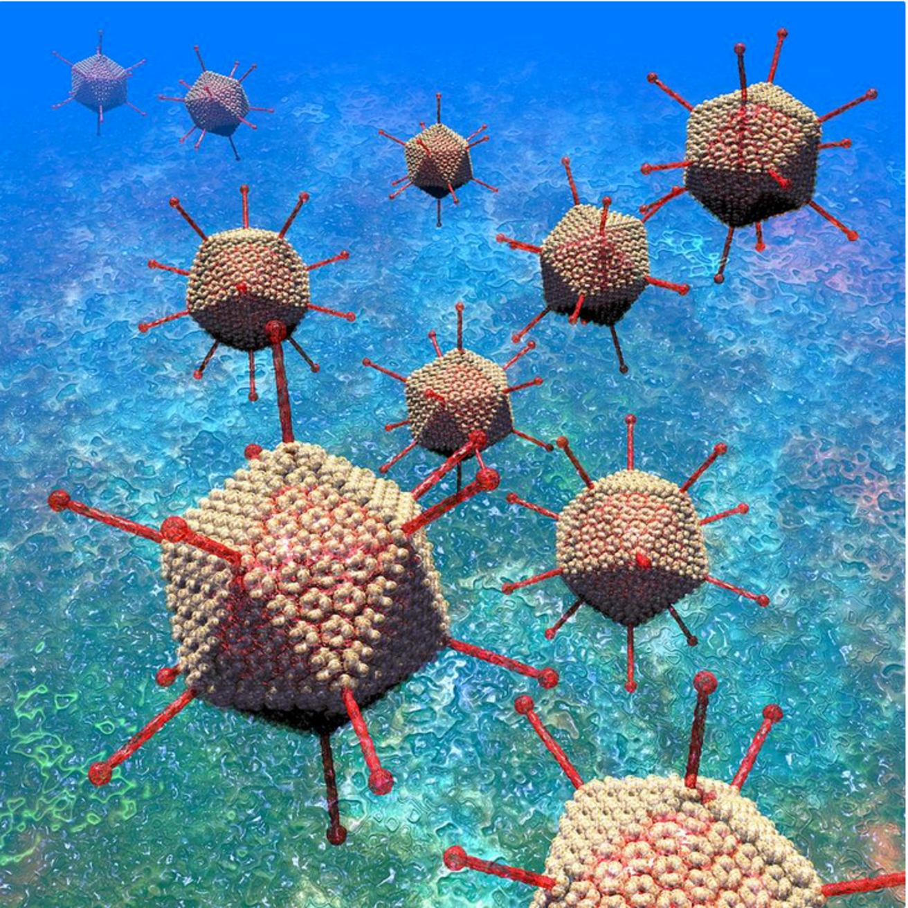 Adenovirus particles